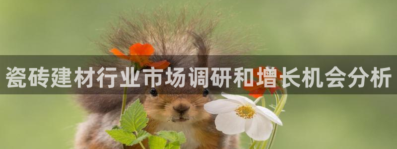 杏鑫娱乐官网