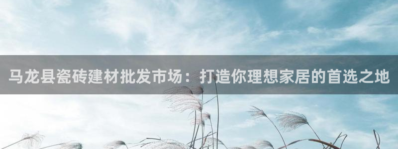 杏鑫平台代理怎么做