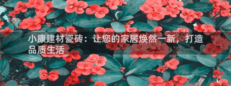 杏鑫平台广7O777