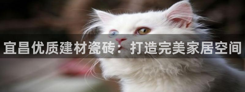 杏鑫平台代理